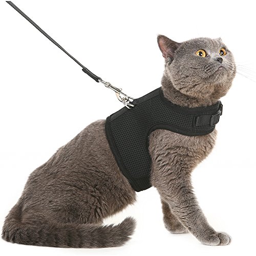 5 Best Cat Harnesses for No Escape (2019) Reviews & Buyer’s Guide