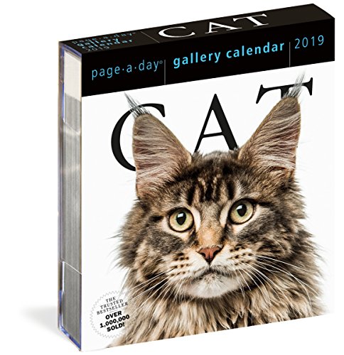 Gifts for Cat Lovers | Choose Unique & Funny Gifts for Cat Owners