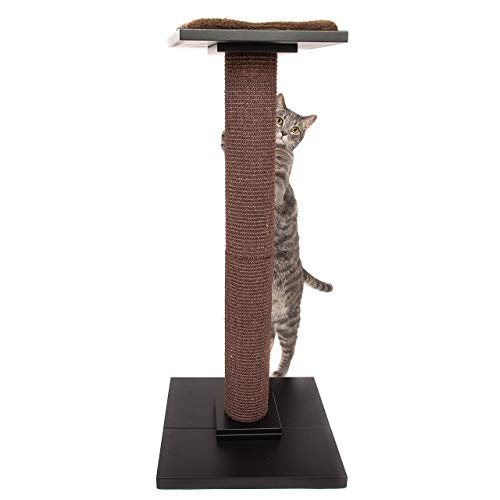 takealot cat scratch posts
