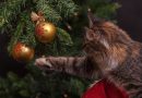 how to cat proof christmas tree